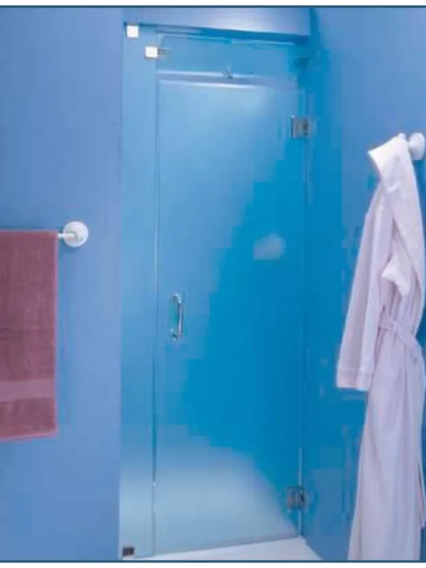 Shower Door
